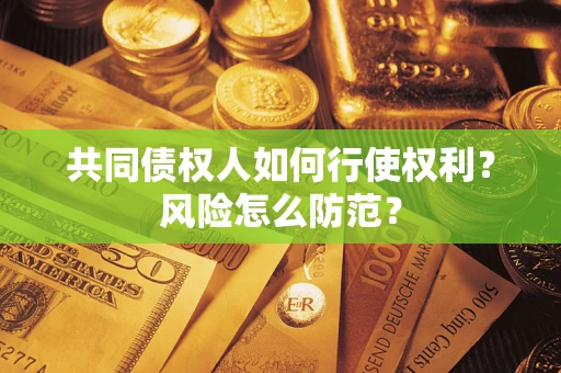 北京共同债权人如何行使权利？风险怎么防范？