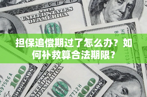 北京担保追偿期过了怎么办？如何补救算合法期限？