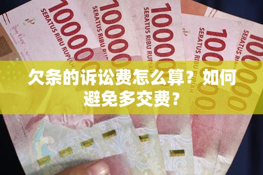 北京欠条的诉讼费怎么算？如何避免多交费？