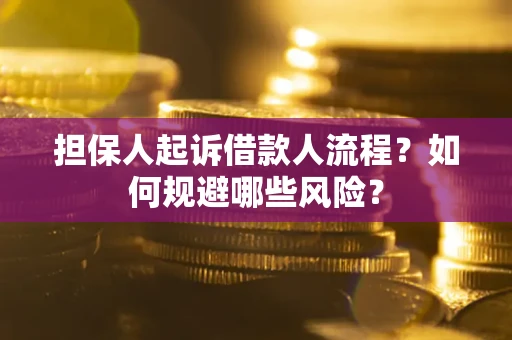 北京担保人起诉借款人流程？如何规避哪些风险？